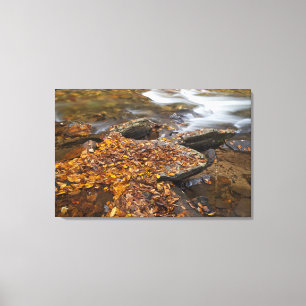 Lienzo El otoño va a lo largo de la luciérnaga Mirando al