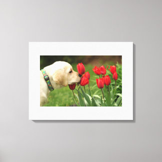 Lienzo el perro ama la flor