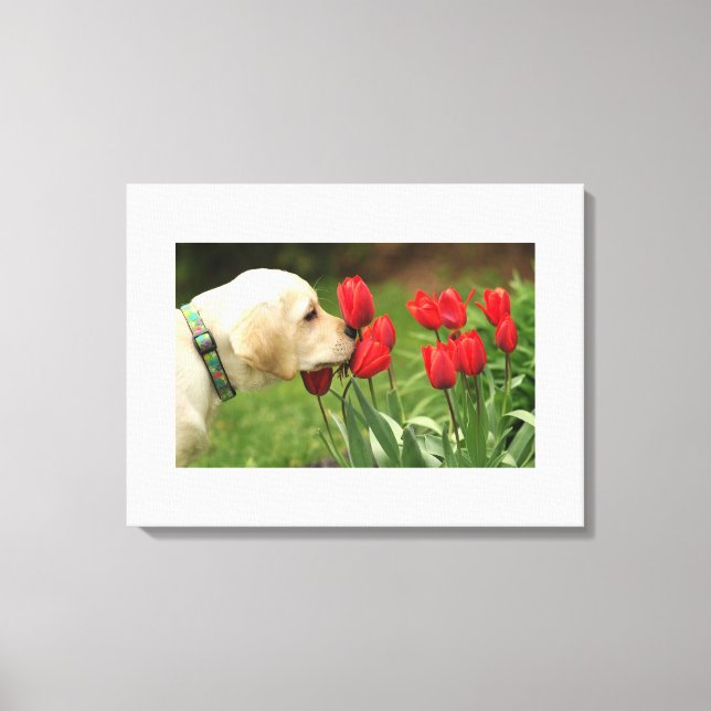 Lienzo el perro ama la flor (Anverso)