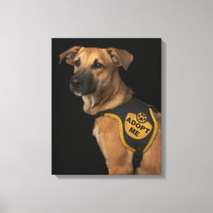 Lienzo El perro del rescate de Brown con me adopta