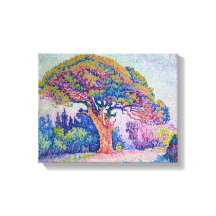 El pino en St. Tropez, 1909