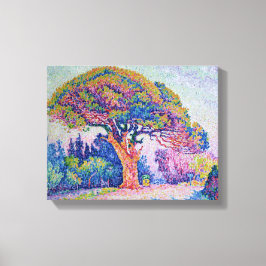 Lienzo El pino en St. Tropez, 1909