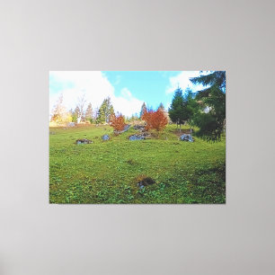Lienzo El Prado de Montaña - Naturaleza Salvaje Rumania