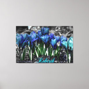 Lienzo El renacimiento de los crocos azules de Aqua