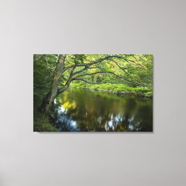 Lienzo El río Taunton en Bridgewater, (Anverso)