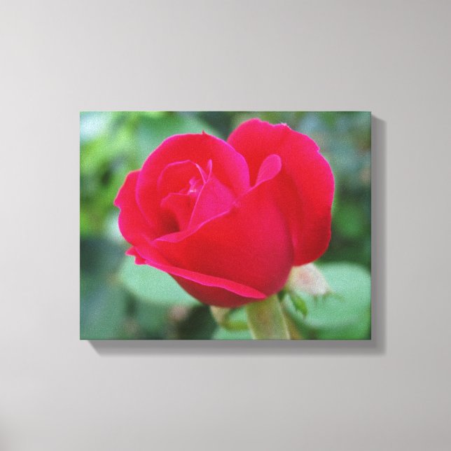 Lienzo ¡El Rosa perfecto! (Anverso)