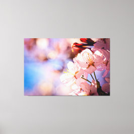 Lienzo El Sakura Florece En Un Día Soleado