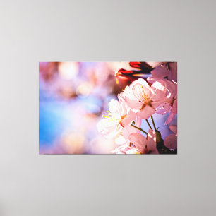 Lienzo El Sakura Florece En Un Día Soleado