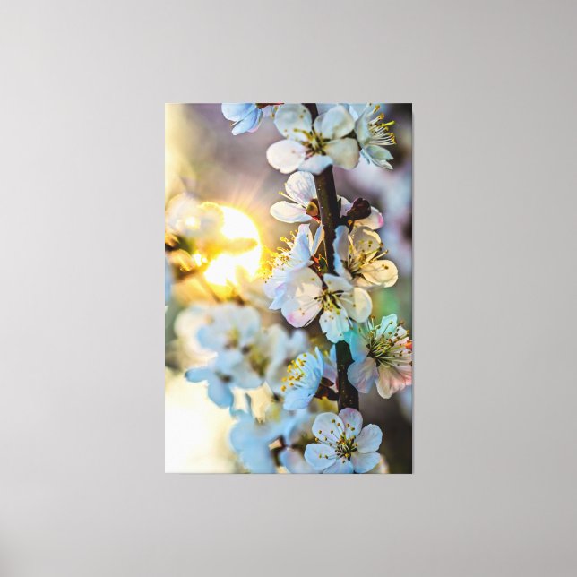 Lienzo El sol detrás de los altibajos del albaricoque jap (Anverso)