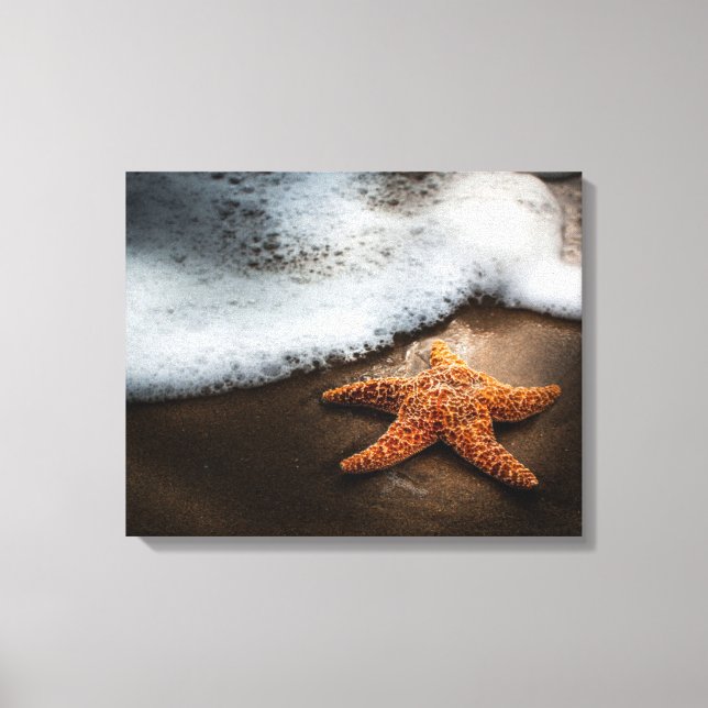 Lienzo El Solo Starfish En La Playa (Anverso)