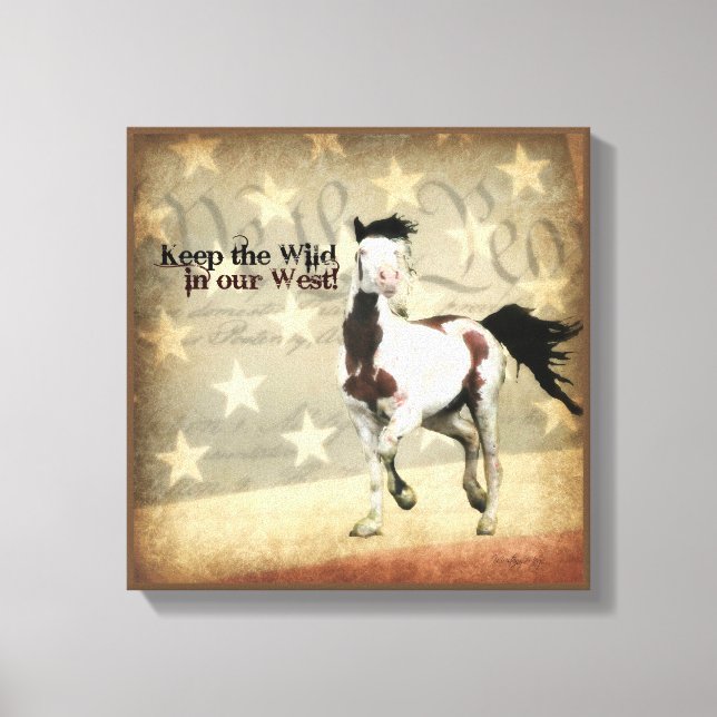 Lienzo El sur de Steens Shaman Wraped Canvas (Anverso)