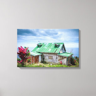 Lienzo el techo verde