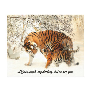 Lienzo El tigre y Cub de la madre en la nieve "vida es
