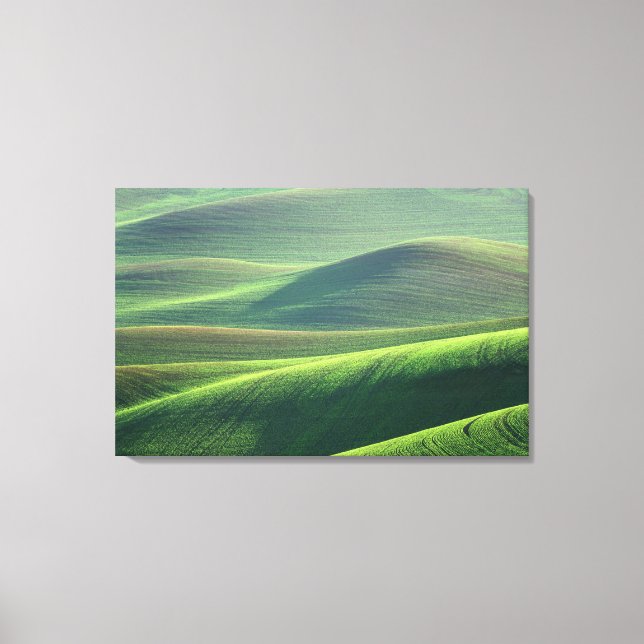 Lienzo El trigo brota en las colinas de Palouse (Anverso)