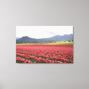 Lienzo El tulipán alegre coloca el valle de Skagit de la