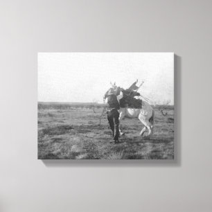 Lienzo El vaquero "Saunders rojo" ensilla un caballo