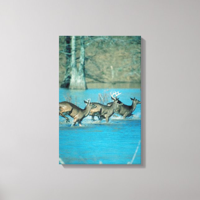 Lienzo El venado corriendo en el agua (Anverso)