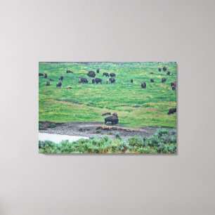 Lienzo El veneno estadounidense