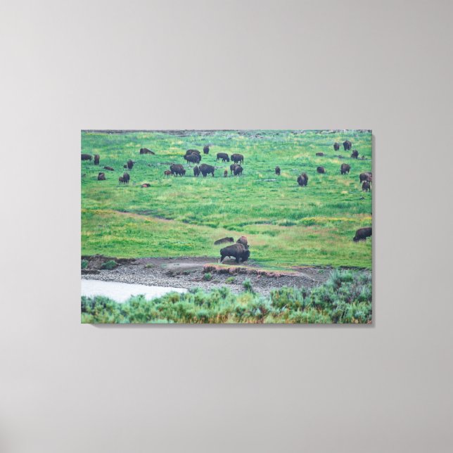 Lienzo El veneno estadounidense (Anverso)