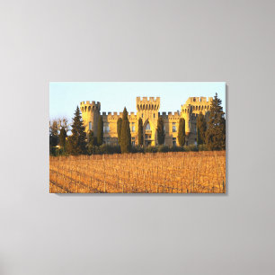 Lienzo El viñedo con vides syrah y el castillo