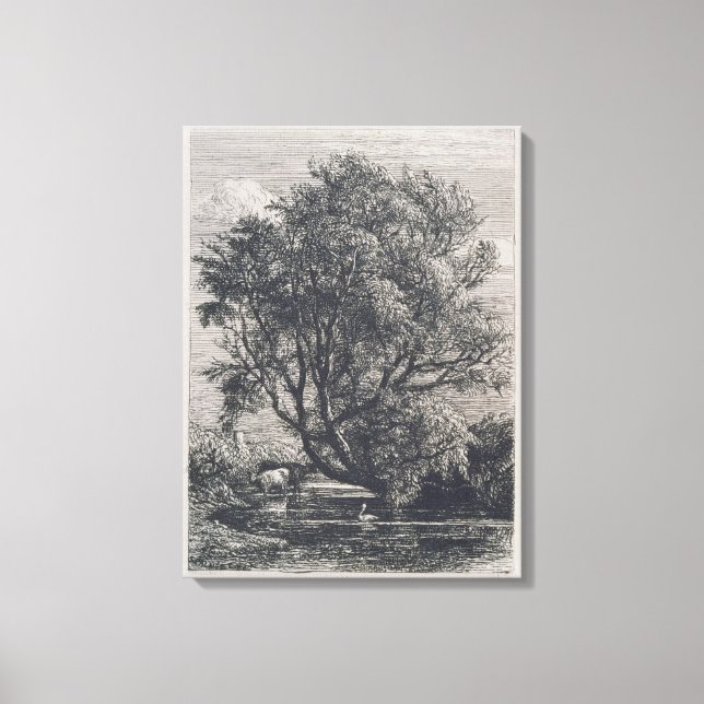 Lienzo El Willow (grabado) (Anverso)