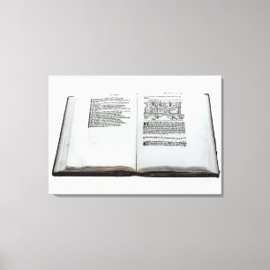 Lienzo El zorro y las uvas