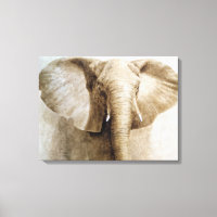 Elefante 2004