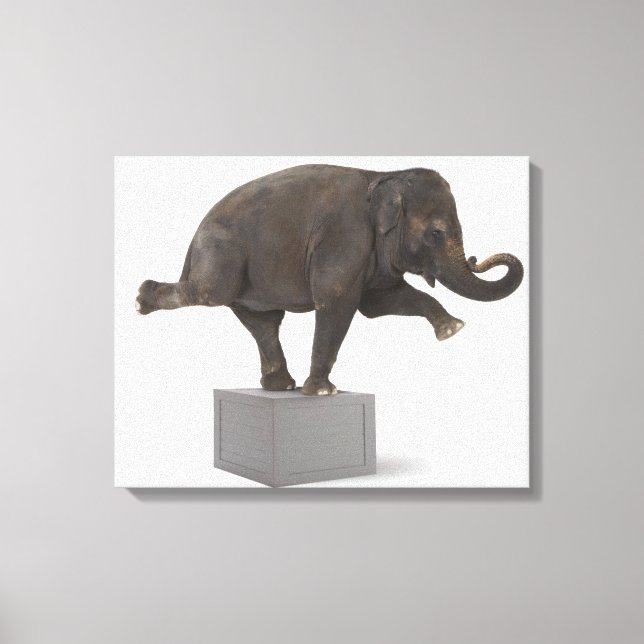 Lienzo Elefante actuando como un truco en la caja (Anverso)