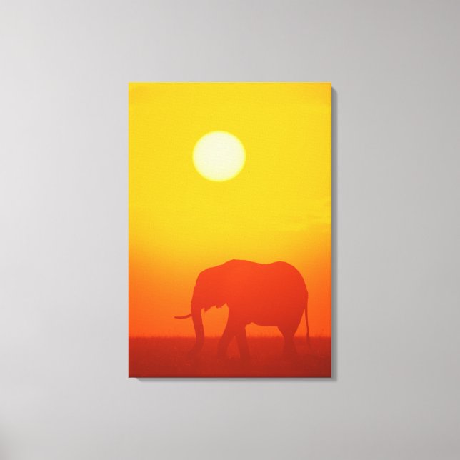Lienzo Elefante africano caminando al atardecer, Kenia, (Anverso)