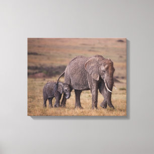 Lienzo Elefante africano con bebé