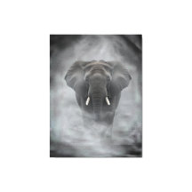 Elefante africano en niebla brumosa serena impasto