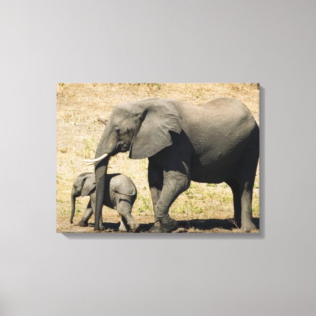 Lienzo Elefante Bebé Y Madre (Anverso)