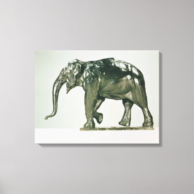 Lienzo Elefante blanco (Anverso)