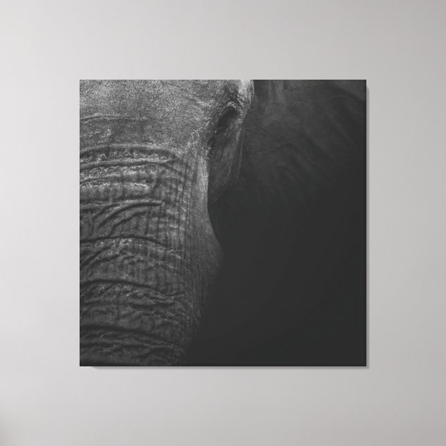 Lienzo Elefante de B&W (Anverso)