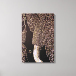 Lienzo Elefante de toro