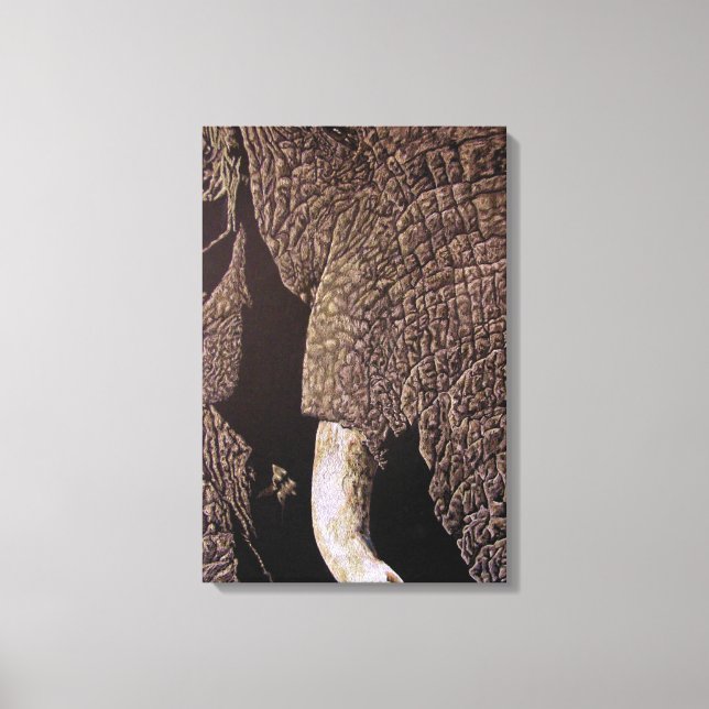 Lienzo Elefante de toro (Anverso)