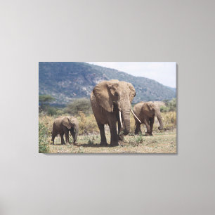 Lienzo Elefante madre caminando con cría de elefante