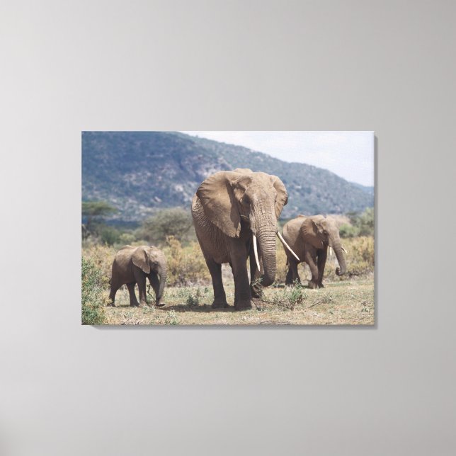 Lienzo Elefante madre caminando con cría de elefante (Anverso)