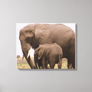 Lienzo Elefante mami y bebé