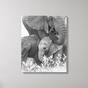 Lienzo Elefante y dos becerros el Samburu