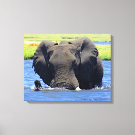 Lienzo Elefantes de Chobe