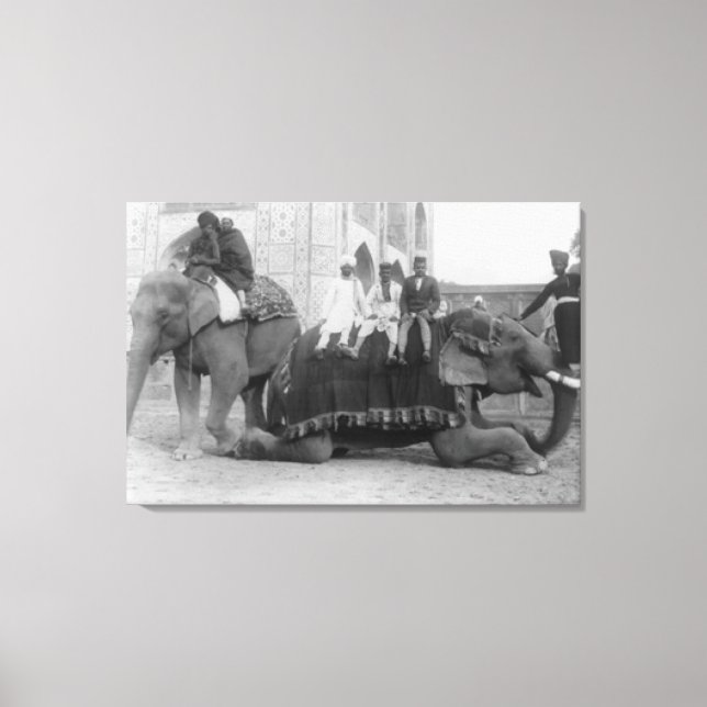 Lienzo Elefantes en bicicleta en India. Fotografía de Ind (Anverso)