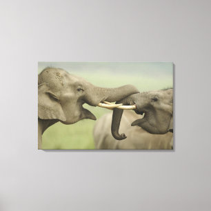 Lienzo Elefantes indios asiáticos juegan a la lucha