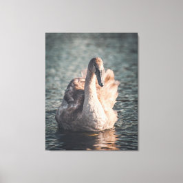 Lienzo Elegancia en el ojo