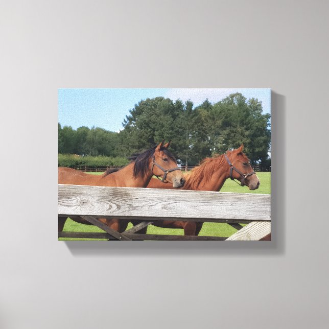 Lienzo Elegant Horses in Nature (Anverso)