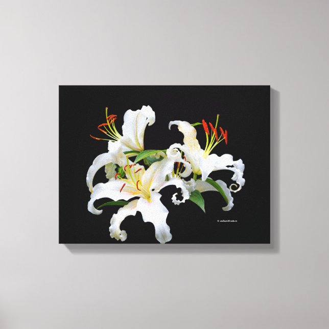 Lienzo Elegante Casablanca White Oriental Lilies (Anverso)
