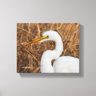 Lienzo Elegante Gran Egret en los carrizos