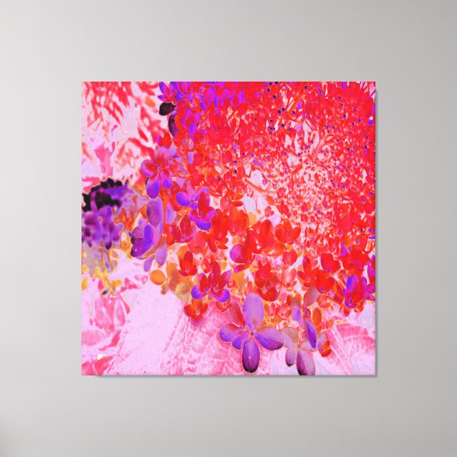 Lienzo Elegante morado y Naranja Limelight Hydrangea (Anverso)