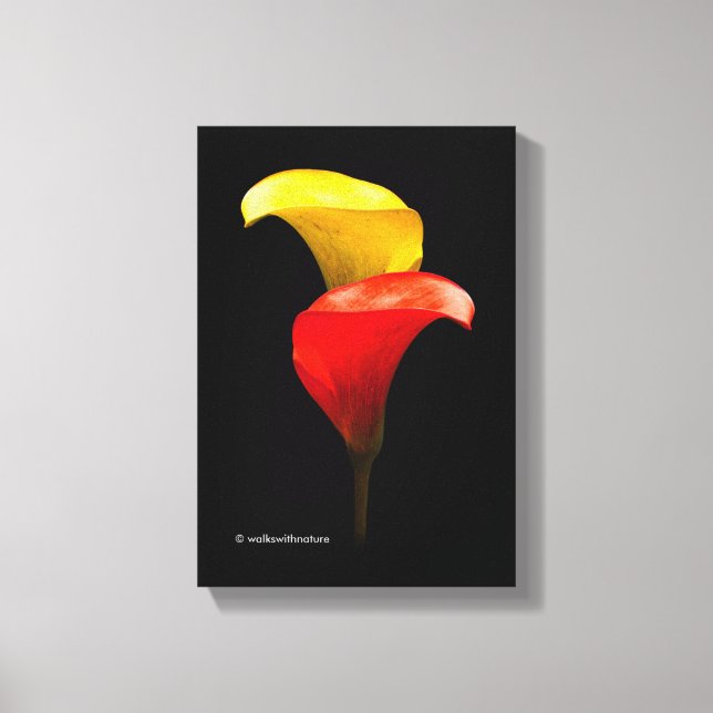 Lienzo Elegante oro y Crimson Calla Lilies (Anverso)