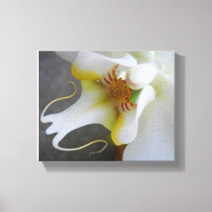 Lienzo Elegante orquídea blanca - foto Bella Artes